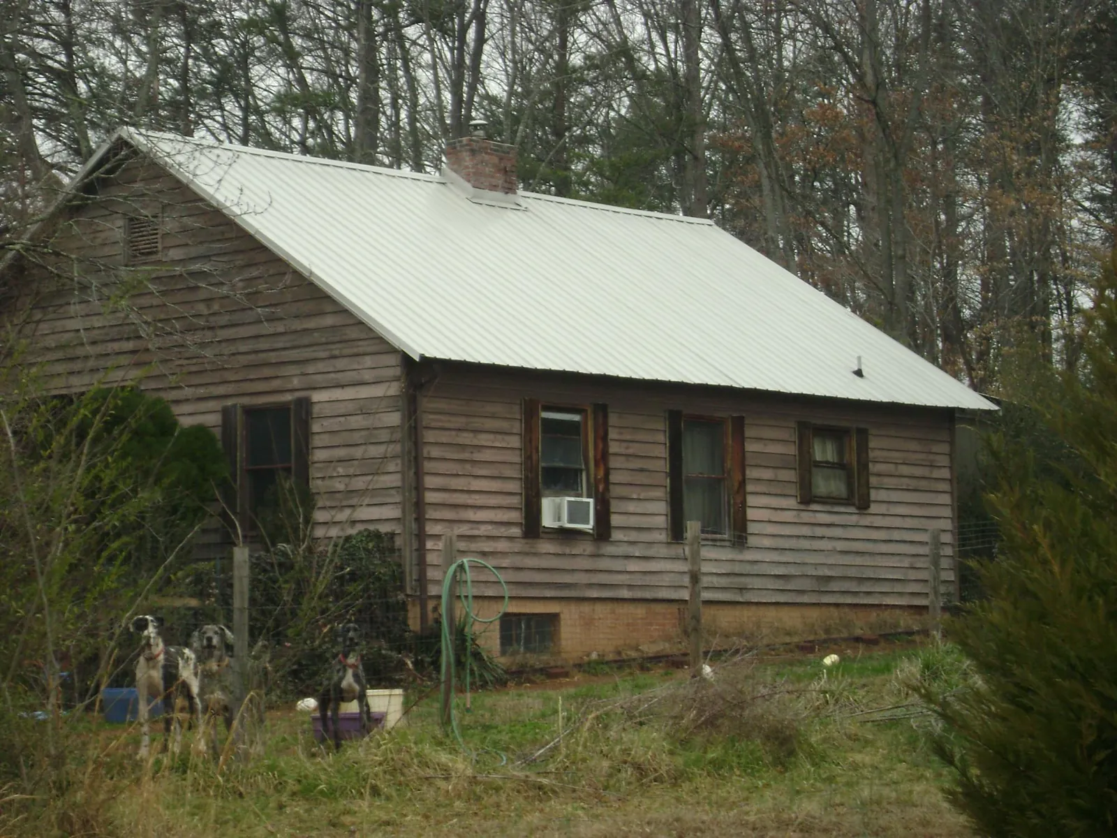 White metal roof on an old wood sided farmhouse, from a Asphalt Shingle Roof Repair job in Owensville